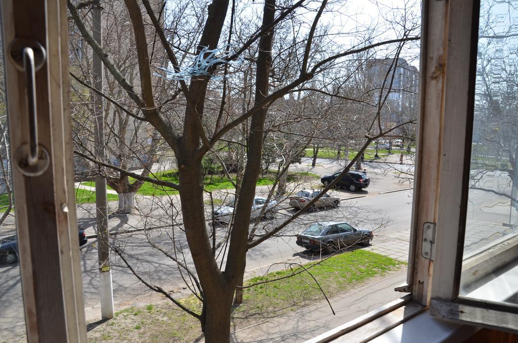 In The City Centre Of Nikolaev *